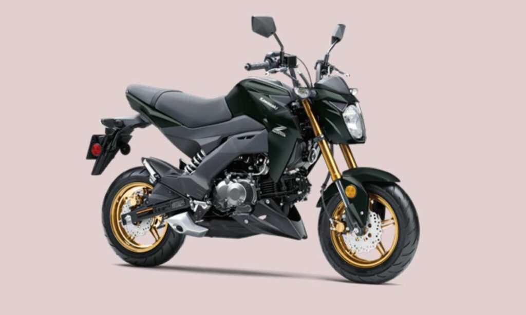 Kawasaki Z125 Pro