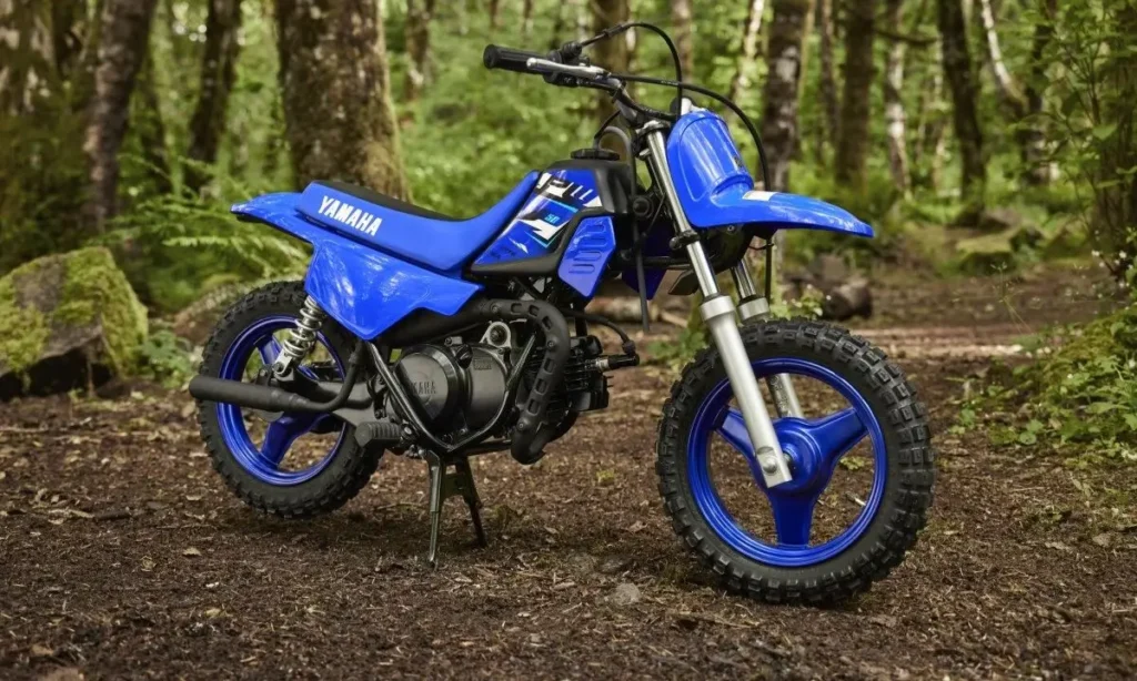 Yamaha PW50
