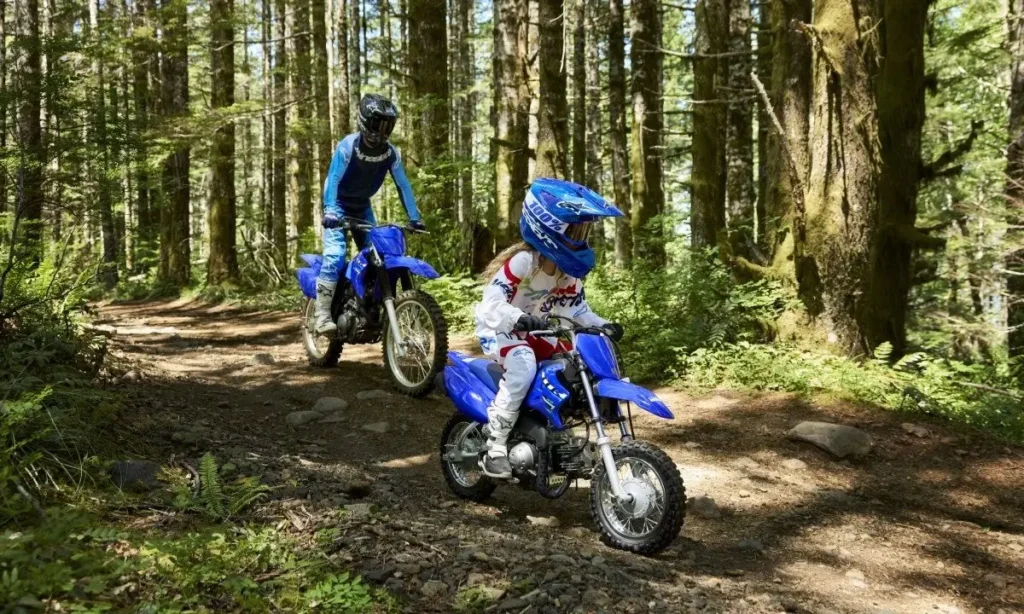 Yamaha TTR50E